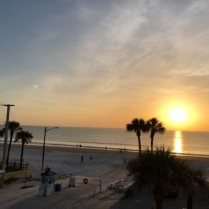 Meet your Posher, Bailey